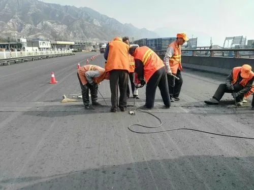 阳高道路桥梁病害治理